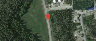 Fallna träd skapar problem i trafiken på väg 976