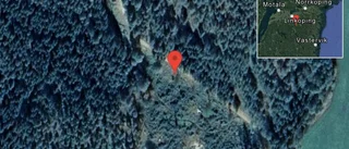 Fallna träd skapar problem i trafiken
