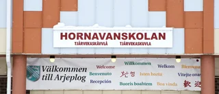 Kritiserar förslag om folkomröstning