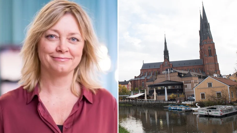 Karin Södergren är projektledare för Almi Företagspartners projekt Smart tillväxt i Uppsala län. 