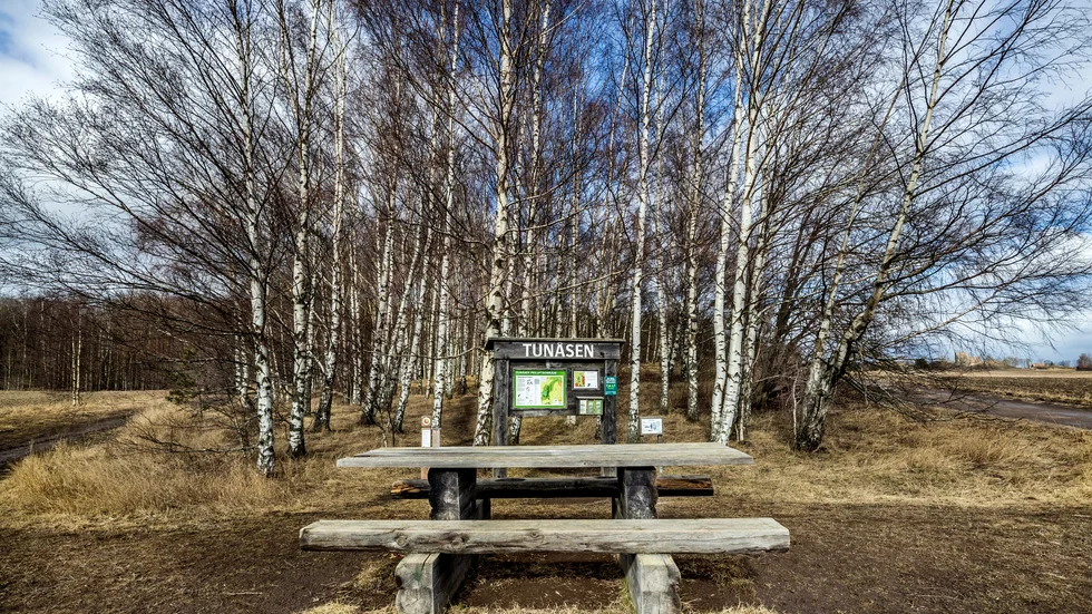 Tunåsen och Röbo får gärna utvecklas som besöksmål, men inte som naturreservat, menar Therez Almerfors (M).
