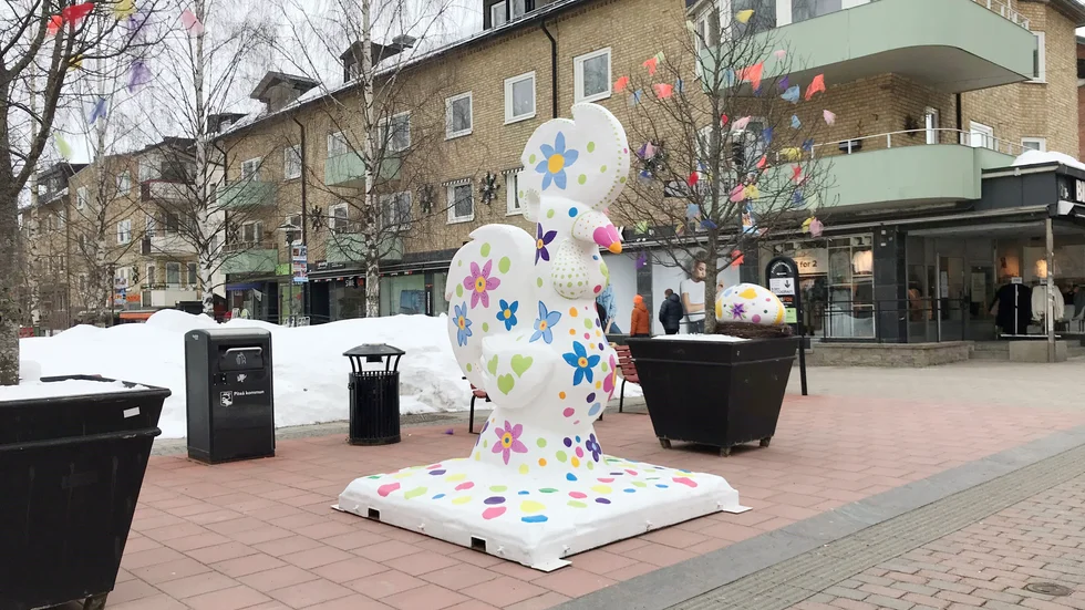 Den är ett säkert vårtecken. Nu finns årets påsktupp på plats på Byxtorget i centrala Piteå.