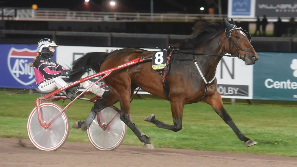 Störst segermarginal hade Zola Love och Henriette Larsen. Snart stundar nog V75-start för det här talangfulla fyraårsstoet. 