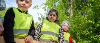 Förskolebarn belönas med odlingstillbehör efter skräpplockardagen