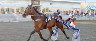 Lottvinsten blev en V75-vinnare för Piteåamatören: "Efter finalerna på Solvalla i helgen ska hon få sluta på topp och bli mamma".