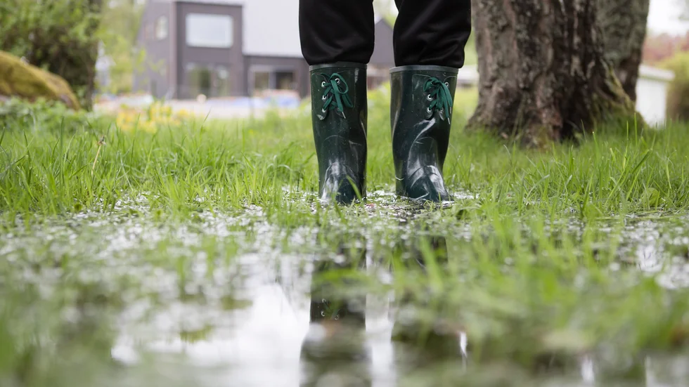 I en enkätbaserad rapport är Västervik bäst i länet när det gäller klimatanpassning, till exempel gällande att identifiera prioriterad infrastruktur vid extrema väderhändelser såsom översvämningar eller värmeböljor. 