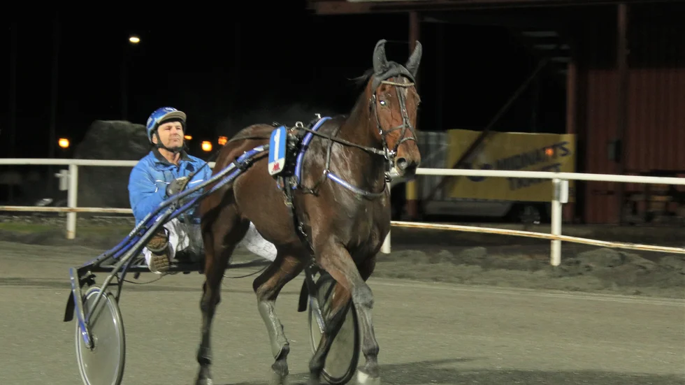 Vitsandsamatören Gunnar Bertilssons OK Nalan höll för favorittrycket i V65-1 i Skellefteå