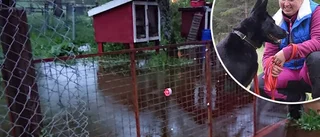 Marie fick hela tomten översvämmad efter regnovädret: "Galet mycket vatten"
