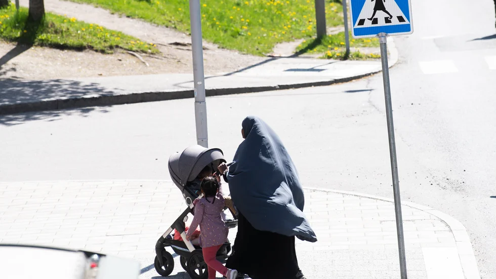 Nu ska olika invandrargrupper kartläggas.