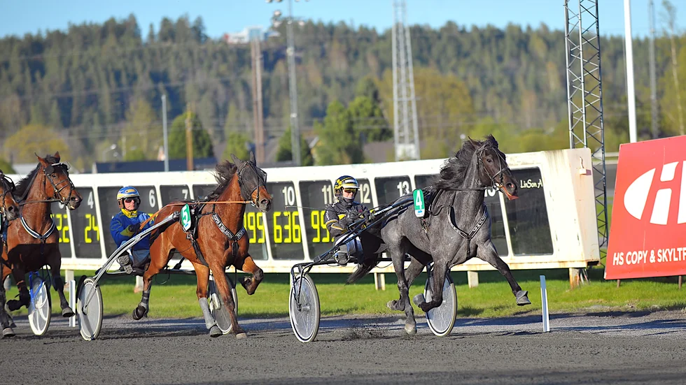 Sandra Eriksson styrde Love Of Mine till seger i den första V64-avdelningen på Bodentravet den 27 maj.