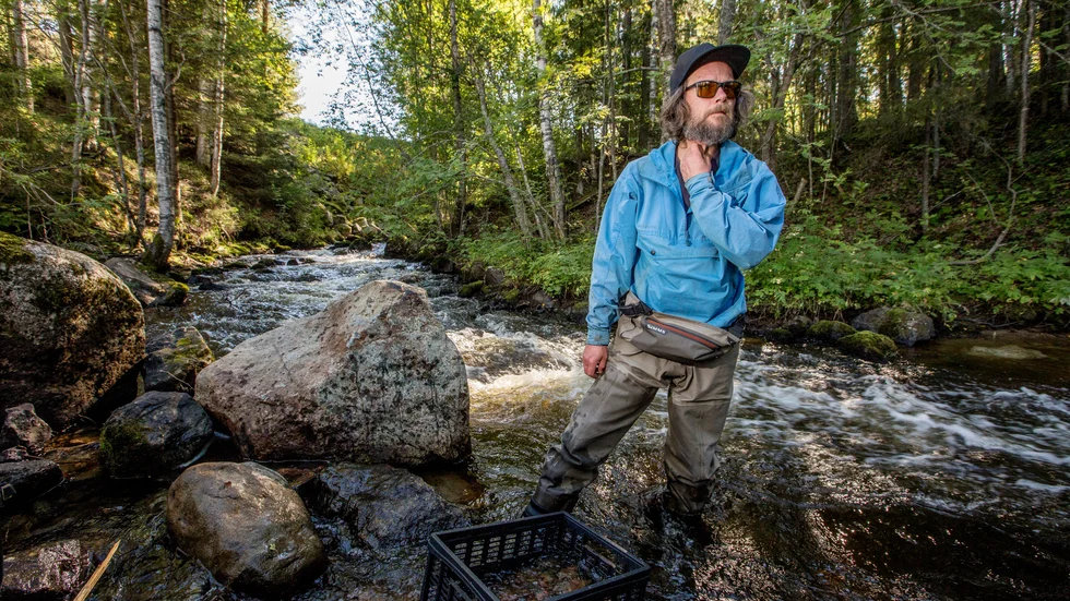 "Projektet ska förbättra flodpärlmusslans livsmiljöer så att bestånden ges förutsättningar att växa och utvecklas", säger Patrik Olofsson,  miljöanalysenheten länsstyrelsen i Norrbotten.