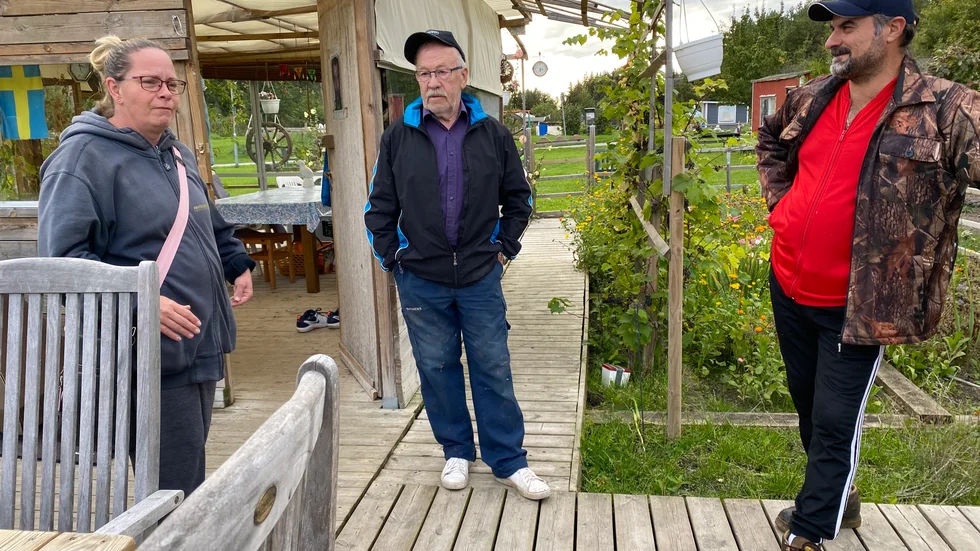Ordföranden i Buskvretens koloniförening Morris Doham, till höger, håller själv på att ta bort det som inte är lagligt. Lena Nolvi och Hasse Lindgren är oroliga över att inte kunna få ha kvar sina odlingslotter.