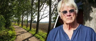 Så stoppades planerna på att skövla Stabby