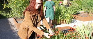 Gotländska växter bevaras i Botaniska