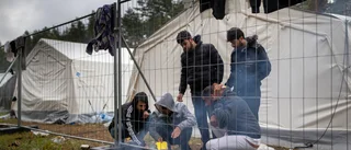 Litauen bygger stängsel mot Belarus