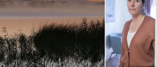 Efter fyra misslyckade försök – nu påbörjas muddringen av Öljaren: "Då ska vi dricka champagne"