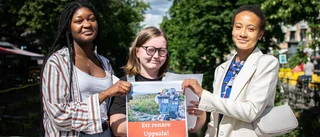 Sommarjobbar för att minska skräpet: "Måste vara modig"