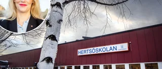 Oro bland föräldrarna på Hertsön • Engelmark: "Storskola har en så negativ klang"
