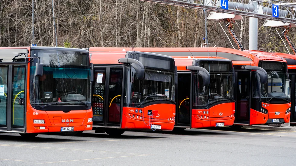 Oslobussar står parkerade på rad. Arkivbild.