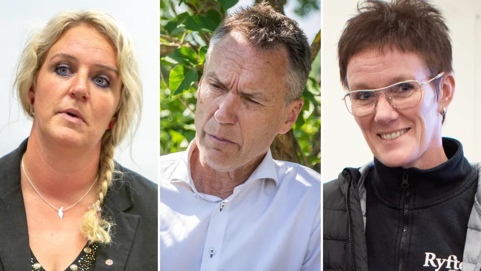 Hanna Westerén, Lars Thomsson och Karin Andersson. Bilden är ett kollage.