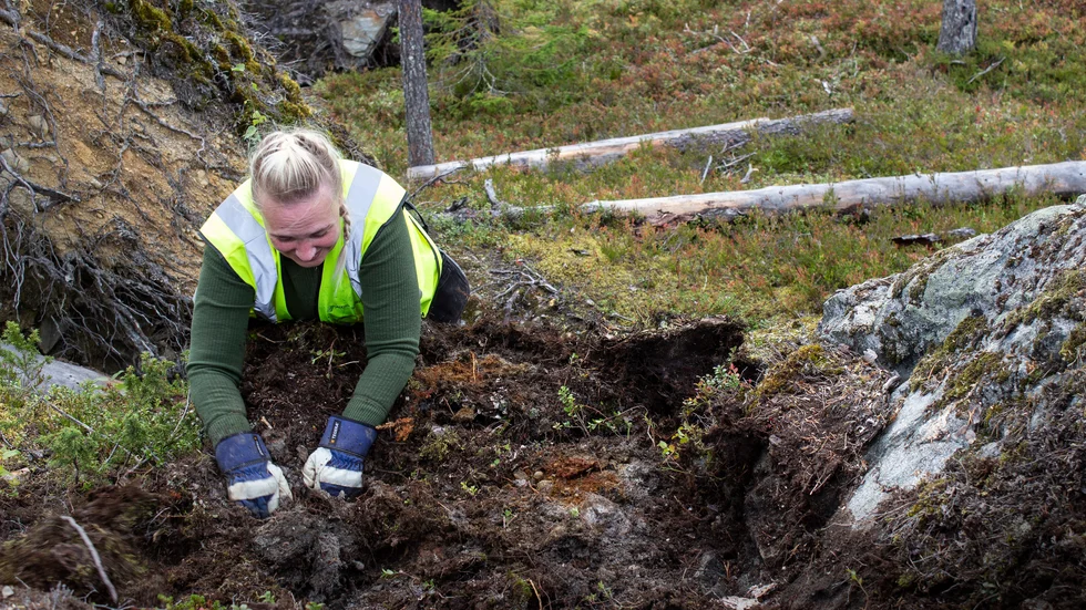 ”Jag har bland annat tagit röjsågskort genom projektet så det har gett mig otroligt mycket”, säger Dessire Hjelte.