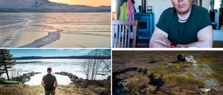  Tecknen från renarna varslar om klimatförändringarna • "Det mest skrämmande är hur det ändrar djurens rörelsemönster och beteende"