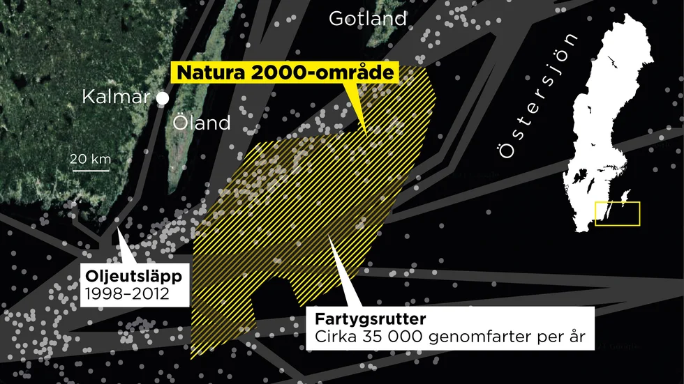 Varje år passerar omkring 35|000 fartyg genom det Natura 2000-område som omfattar Hoburgsbanken och Midsjöbankarna. Där finns bland annat hotade bestånd av tumlare och alfågel.