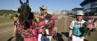 Redéns Don Fanucci Zet missar Prix d’Amérique