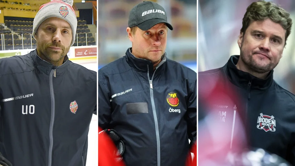 Urban Omark, Fredrik Öberg och Robert "Nobbe" Nordberg kan samtliga ingå i Boden Hockeys ledarstab till nästa säsong.