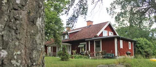 En sommardröm med utsikt över slätten