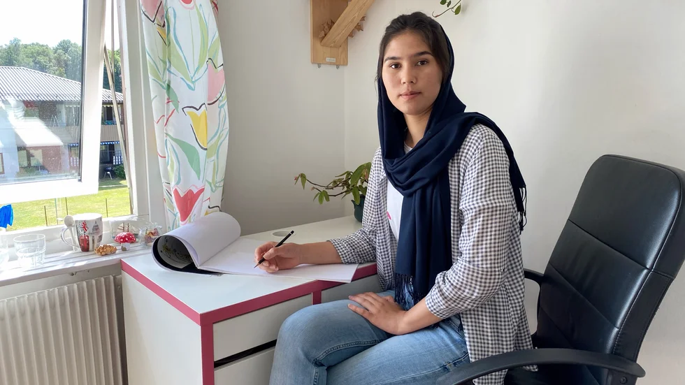 Narges har haft konstintresset sedan 8 års ålder. Konsten väcker starka spännande känslor inom henne. 