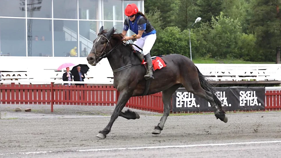 Jessica Nilsson red 14-årige Ivarsjoker till seger i monéloppet på Skellefteåtravet.
