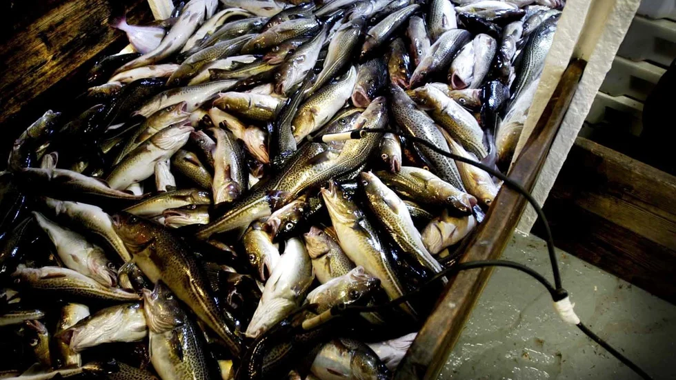 Det behövs akuta insatser både på EU-nivå och nationellt för att rädda fiskebestånden och det kustnära fisket, med sina unika skärgårdsmiljöer, skriver moderata riksdagsledamöter från länet.