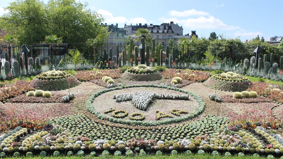 Pingstkyrkan 100 år. Församlingens jubileum utgör årets motiv i kaktusplanteringen i Carl Johans park.
