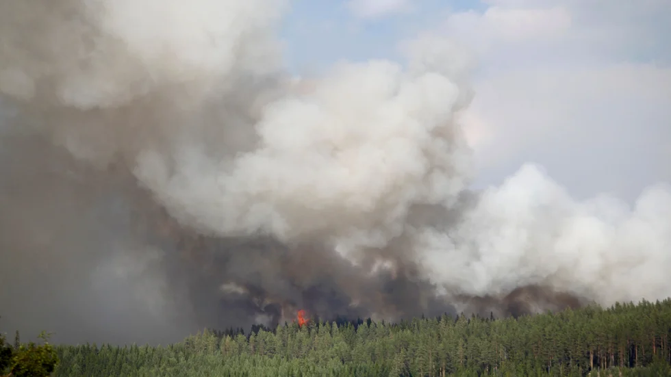 Enligt SMHI är det stor risk för skogsbrand från och med fredag fram till nästa vecka. 
