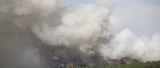 SMHI: stor risk för skogsbrand i hela länet 