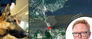 Polisinsats med hundförare när pojke försvann – skulle träna i hettan: "Hittades medtagen"