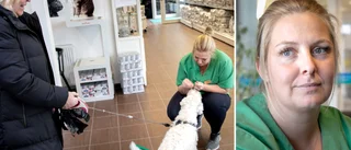 Veterinärer hängs ut på nätet – "Bidrar till att man lämnar yrket"