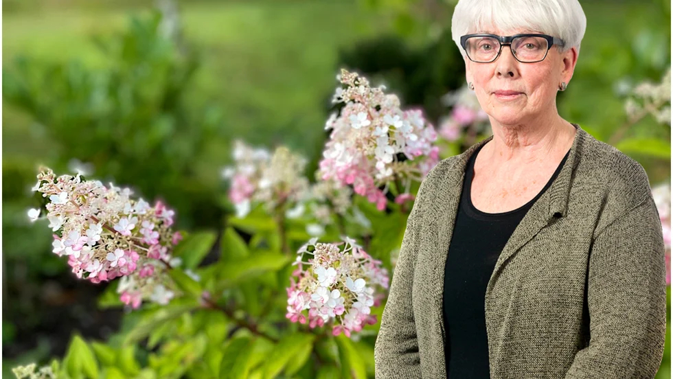 Insändarskribeten hyllar PT:s krönikör Birgitta Pettersson. (Arkivbild)