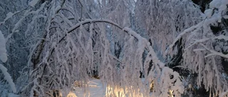Nu har första snön lagt sig – hur ser det ut hos dig? Skicka in dina bilder