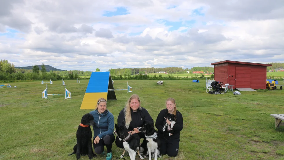 Denise Lundholm, Amanda Sjölander och Sofie Jonsson ser fram emot Agility-SM i Piteå. 