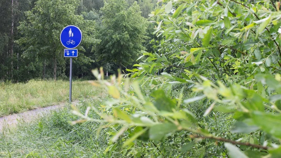 Boende är oroliga för att en olycka ska ske till följd av den dåliga sikten.