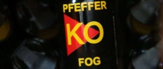 Nya nazistgruppens innersta krets – fälld för över 100 brott