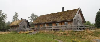 Överdrivet rykte om krogdöd ­– satsning utlovas