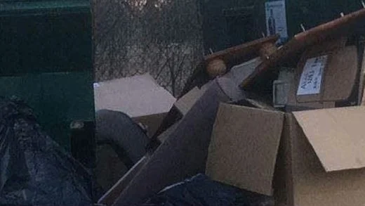En mamma och hennes son har dömts för nedskräpning.