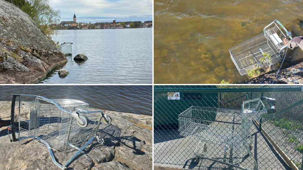 Från Mälaren bärgades kundvagnen av Orsolya Lippai och en vän till henne med hjälp av ett rep. De såg till att den hamnade vid återvinningsstationen nedanför Flodins väg. "Hör inte hemma i naturen." Vagnen ser ut att var av lite äldre modell.