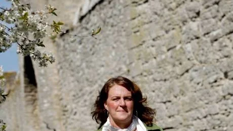 Hanna Westerén, Socialdemokraterna