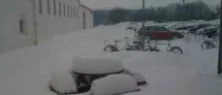 ”Väldigt ovanligt”