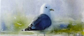Säkra avtryck, vingslag och penseldrag