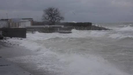Allmänhetens badförhållanden i Visby har inte varit de bästa.